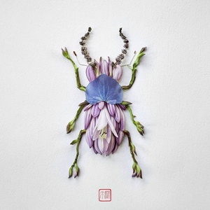 Insecte végétal de Raku Inoue