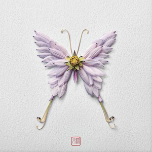 magnifique papillon de Raku Inoue