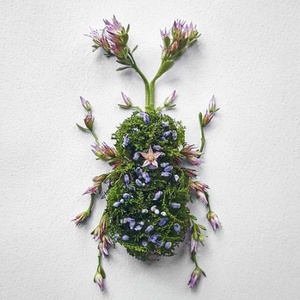 scarabé réalisé avec des fleurs