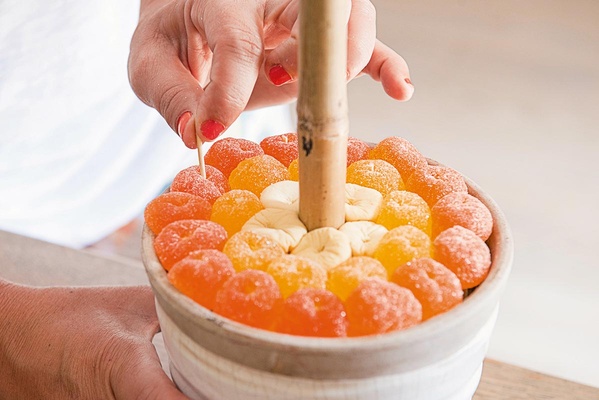 décorez le pied du buis avec des gommes aux fruits