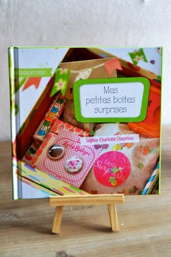 Livre mes petites boites surprises