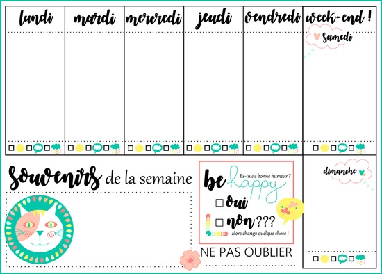 Calendriers semainiers chat