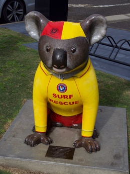 Koala surfeur