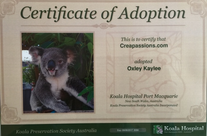 certificat d'adoption
