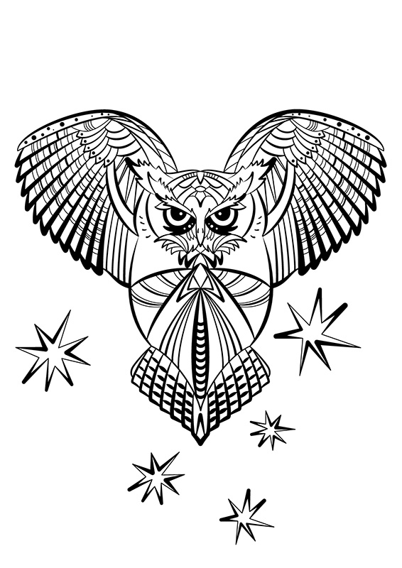 coloriage creapassions hibou