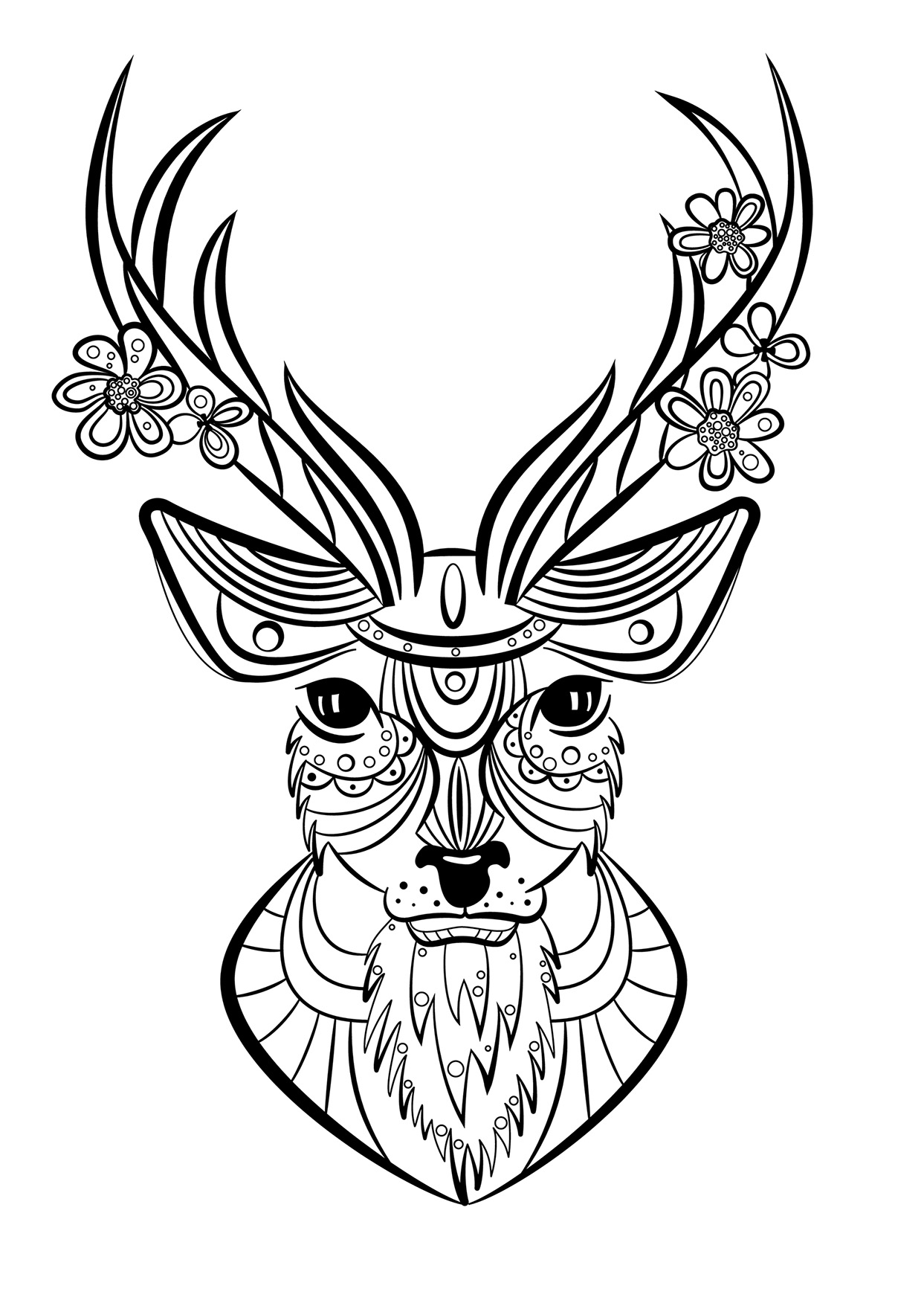 Coloriage animaux Cerf