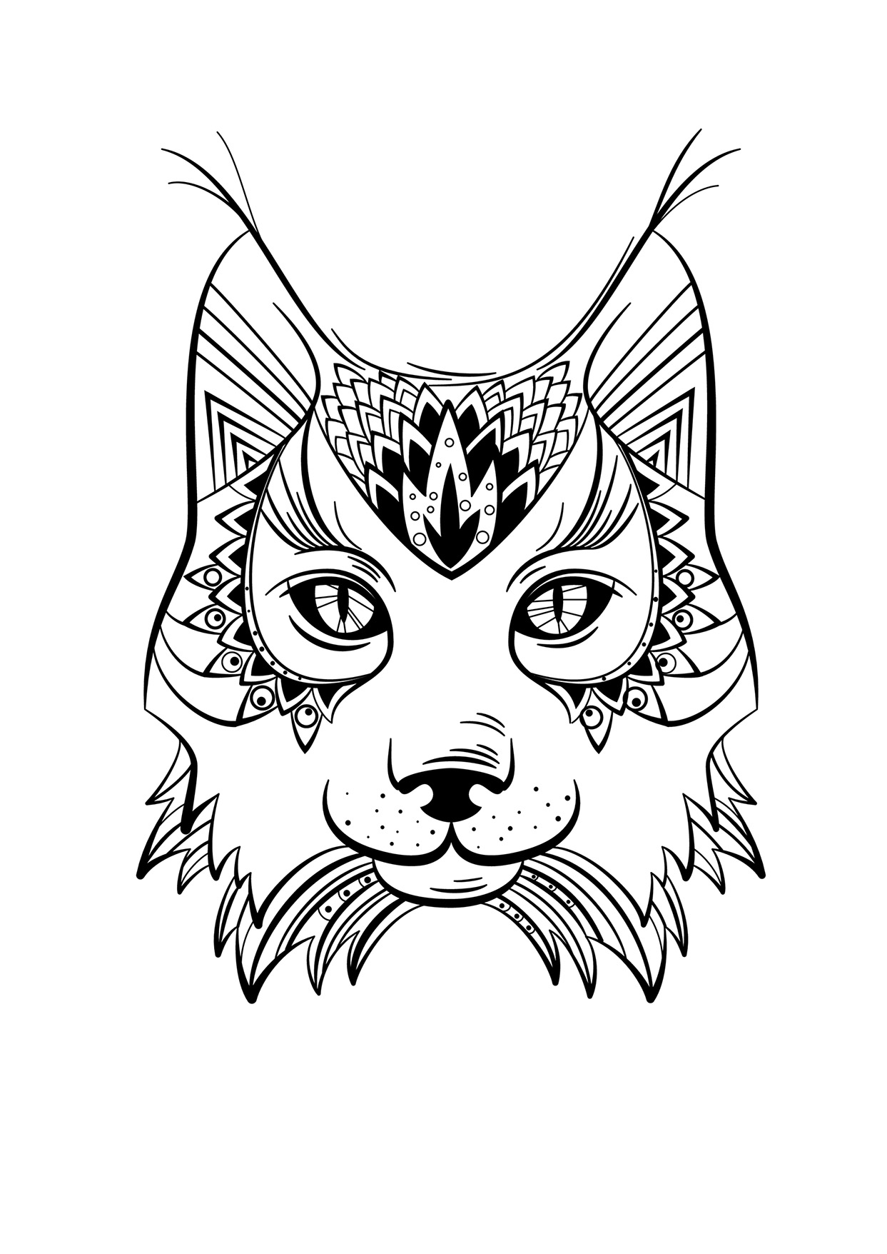 Coloriage animaux Lynx 