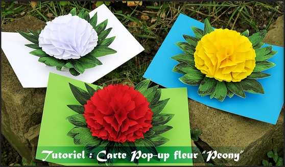 Carte pop up fleur