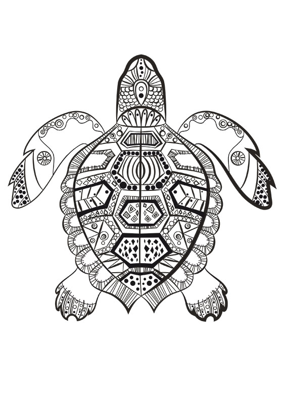 La tortue marine à colorier du dimanche