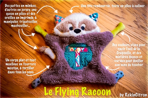 Le flying Racoon