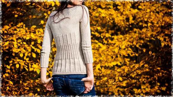 pull pour l'automne