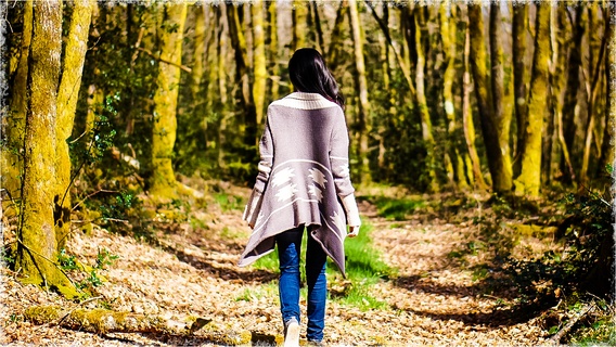 In marche dans la forêt