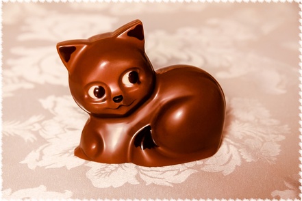 Le choco-chaton