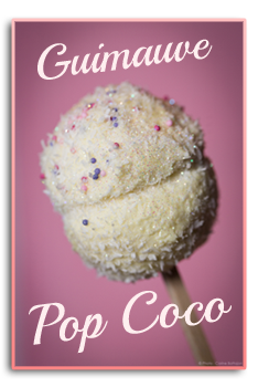 Recette de la Guimauve Pop Coco