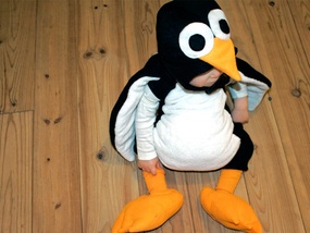 Pingouin_creapassions