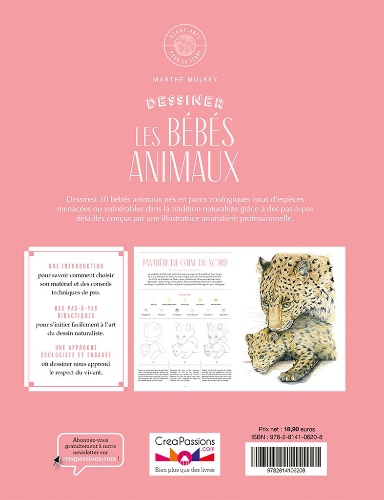 Bébés animaux à dessiner