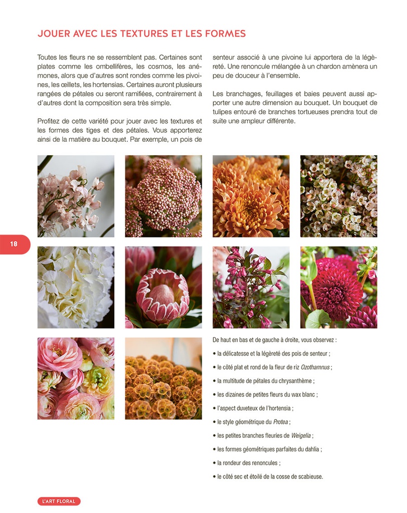 Art Floral (nouvelle édition)