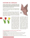 Origamis et pliages