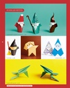 Origamis et pliages